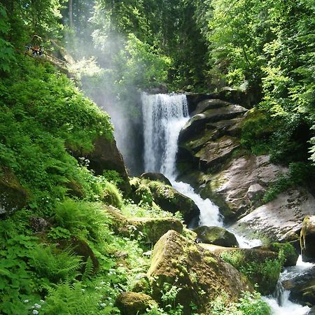 Rita - Atemberaubenden Wasserfaelle Triberg im Schwarzwald Eksteriør billede