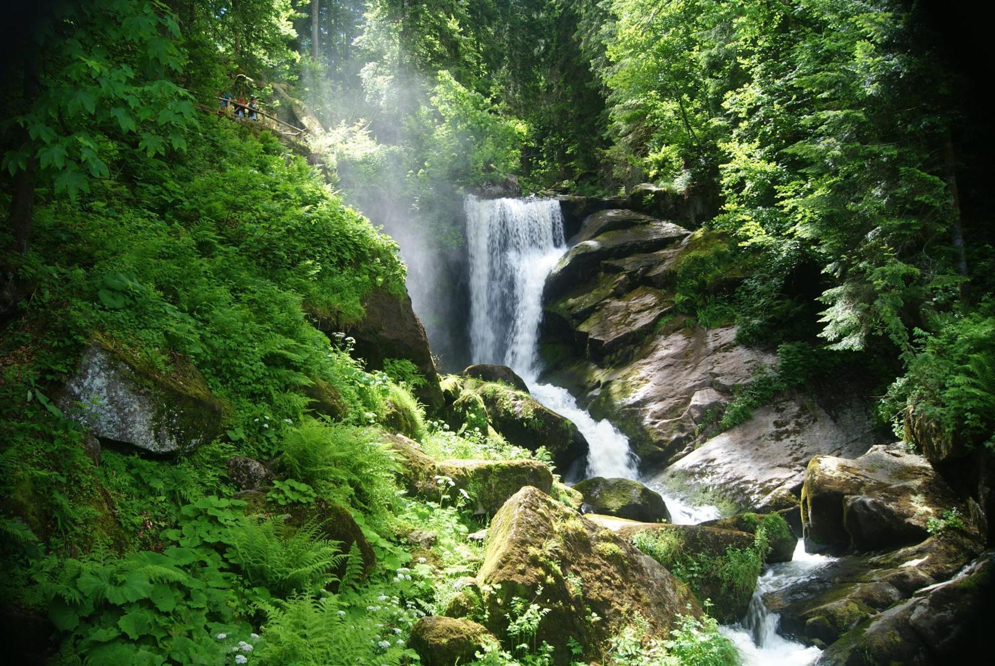 Rita - Atemberaubenden Wasserfaelle Triberg im Schwarzwald Eksteriør billede